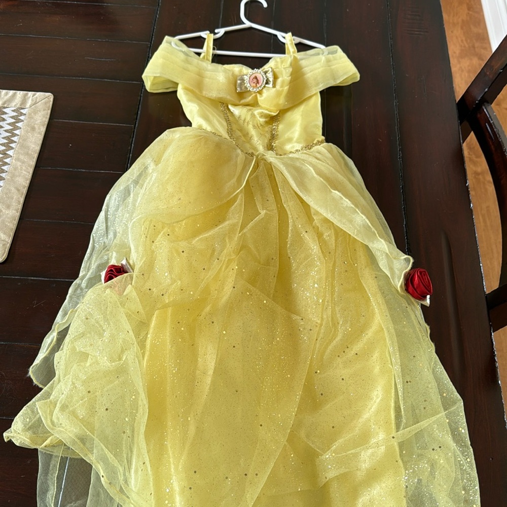 Disney World Princess Belle Dress